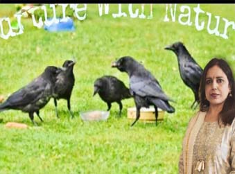 सर्व पितृ विसर्जनी